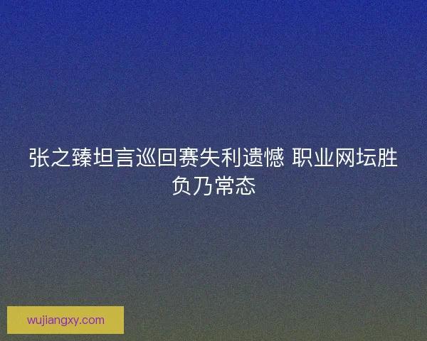张之臻坦言巡回赛失利遗憾 职业网坛胜负乃常态