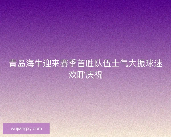 青岛海牛迎来赛季首胜队伍士气大振球迷欢呼庆祝